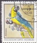 Stamps Germany -  zoologico-magdebug