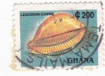 Stamps Ghana -  caracola