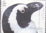 Sellos de Europa - Portugal -  pingüino del cabo