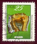 Stamps : Europe : Germany :  1978 Anvº Museo Ciencias Dresde -Ybert:2040