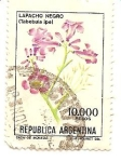 Sellos de America - Argentina -  Flores
