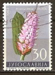 Stamps Yugoslavia -  Flores: bistorta