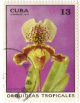 Stamps Cuba -  Orquideas Tropicales.- Cypripedium Mowgh