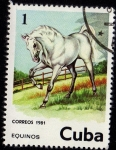 Stamps Cuba -  EQUINOS