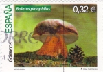 Stamps Spain -  micología- boletus pinophilus