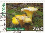 Stamps Spain -  micología-cantharellus ciborius