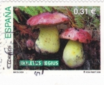 Stamps Spain -  micología-boletus regius