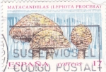Stamps Spain -  micología-matacandelas (lepiota procera)