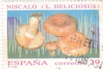 Sellos de Europa - Espa�a -  micología-niscalo (L.deliciosus)