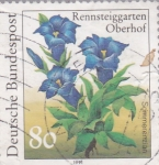 Stamps Germany -  flores