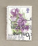 Stamps Europe - Isle of Man -  Iris barbudo