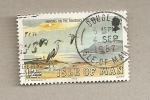 Stamps Europe - Isle of Man -  Garzas en la costa