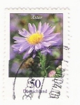 Stamps : Europe : Germany :  Aster