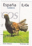 Stamps Spain -  urogallo
