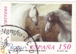 Sellos de Europa - Espa�a -  caballos cartujanos 3683
