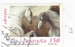 Stamps Spain -  caballos cartujanos 3683 A