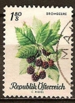 Stamps : Europe : Austria :  Frutas,Bombeere-Moras.