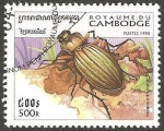 Sellos de Asia - Camboya -  1566 - coleóptero carabus auronitens