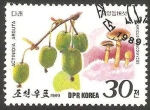 Stamps North Korea -  champiñón y fruta salvaje