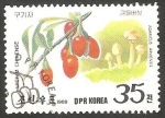 Sellos de Asia - Corea del norte -  champiñón y fruta salvaje