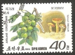 Stamps North Korea -  champiñón y fruta salvaje