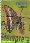 Sellos de Europa - Espa�a -  mariposa