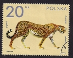 Stamps Poland -  Guepardo