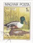 Stamps Hungary -  aves