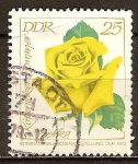 Stamps Germany -  Exposición Internacional de Rosas,1972 en DDR.Kopernicker Sommer Izetka(Rosa amarilla).