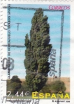 Stamps Spain -  arboles monumentales-álamo negro de Horcajuelo.Brabos(Avila)