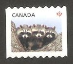 Stamps Canada -  fauna animal