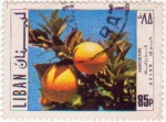 Stamps Lebanon -  1971