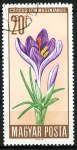 Stamps Hungary -  Condimentos