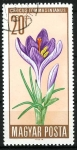 Stamps : Europe : Hungary :  Condimentos