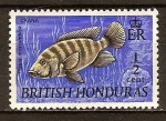 Stamps : America : Honduras :  Tilapia mossambica-la Tilapia de Mozambique.(Hond.-Brit.)