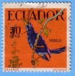 Stamps Ecuador -  Mirlo
