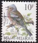 Stamps Belgium -  pajaros