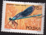Stamps Poland -  insecto