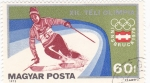 Stamps Hungary -  J.J.O.O. - INNSBRUCK-76  -esquí