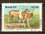 Sellos de America - Brasil -  Fauna Brasileña - Veado Campeiro - Ozotoceros bezoarticus.