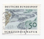 Stamps Germany -  