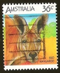 Stamps Australia -  RED KANGAROO