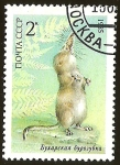 Stamps : Europe : Russia :  NOYTA CCCP