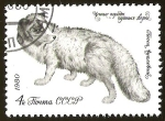 Stamps : Europe : Russia :  CCCP - FAUNA