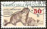 Stamps : Europe : Czechoslovakia :  MARMOTA