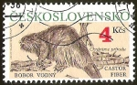 Stamps : Europe : Czechoslovakia :  CASTOR FIBER