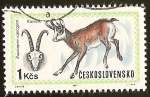 Stamps Czechoslovakia -  KAMZIK