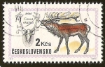 Stamps : Europe : Czechoslovakia :  JELEH