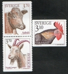 Stamps Sweden -  Yvert  1841/3- Domestic Animals 3 v