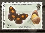 Stamps America - Belize -  CATONEPHELE   NUMILIA